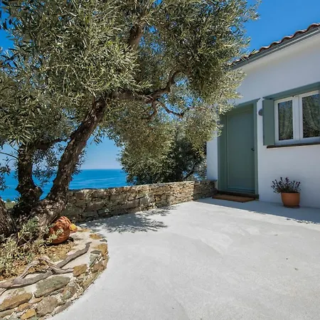 Villa Avgi *