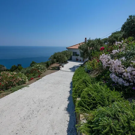 Villa Avgi *