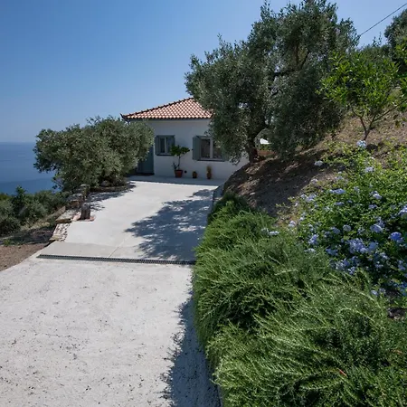Avgi Villa