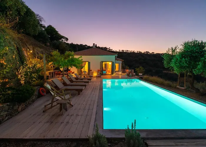 Avgi فيلة غلوسا